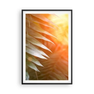 Plakát v černém rámu - Ráno v džungli - 61x91 cm