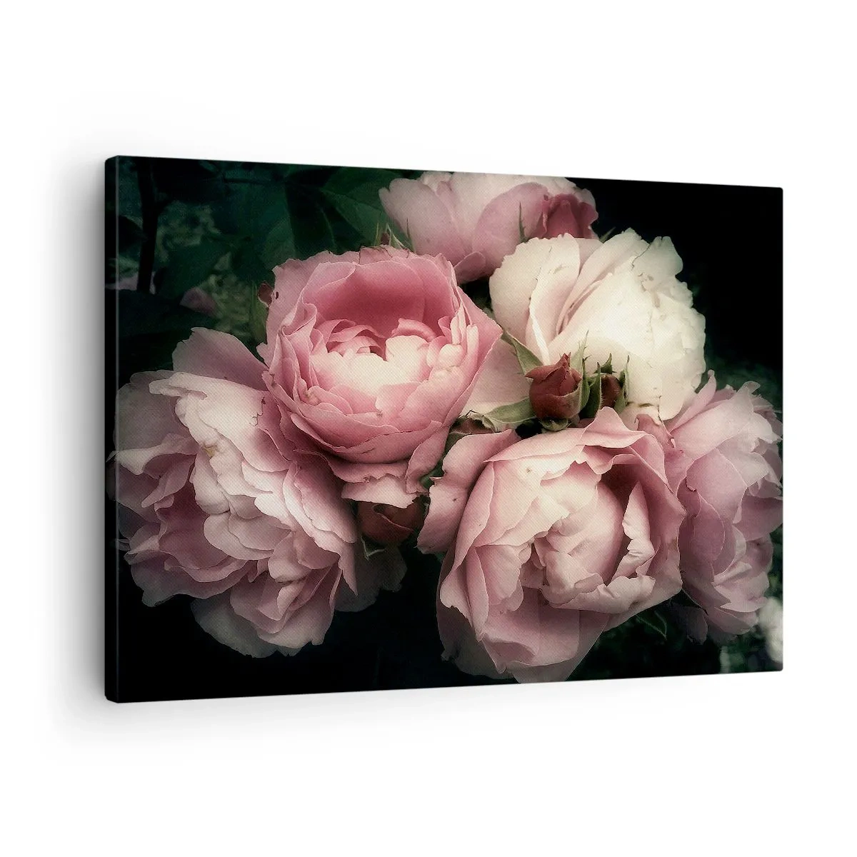 Obraz na plátně - Kytice růží v jemných odstínech růžové a bílé - 70x50cm - Kouzlo belle epoque - Moderní nástěnná dekorace do obývacího pokoje a ložnice ARTTOR