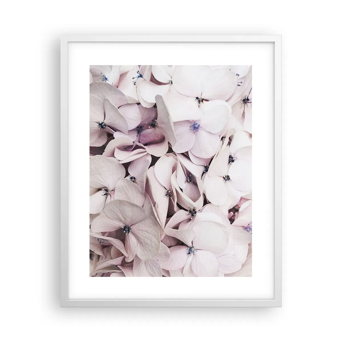 Plakát v bílém rámu - V záplavě květin - 40x50 cm
