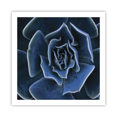 Plakát - Pouštní květ - 60x60 cm