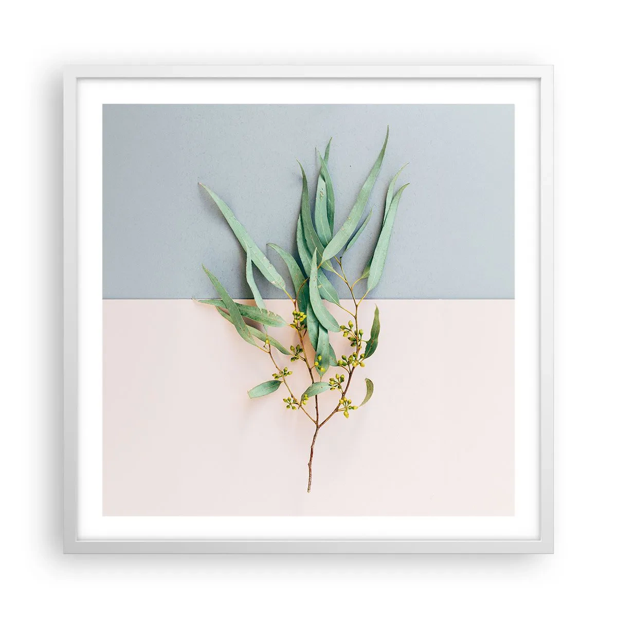 Plakát v bílém rámu - Pastelová jemnost - 60x60 cm