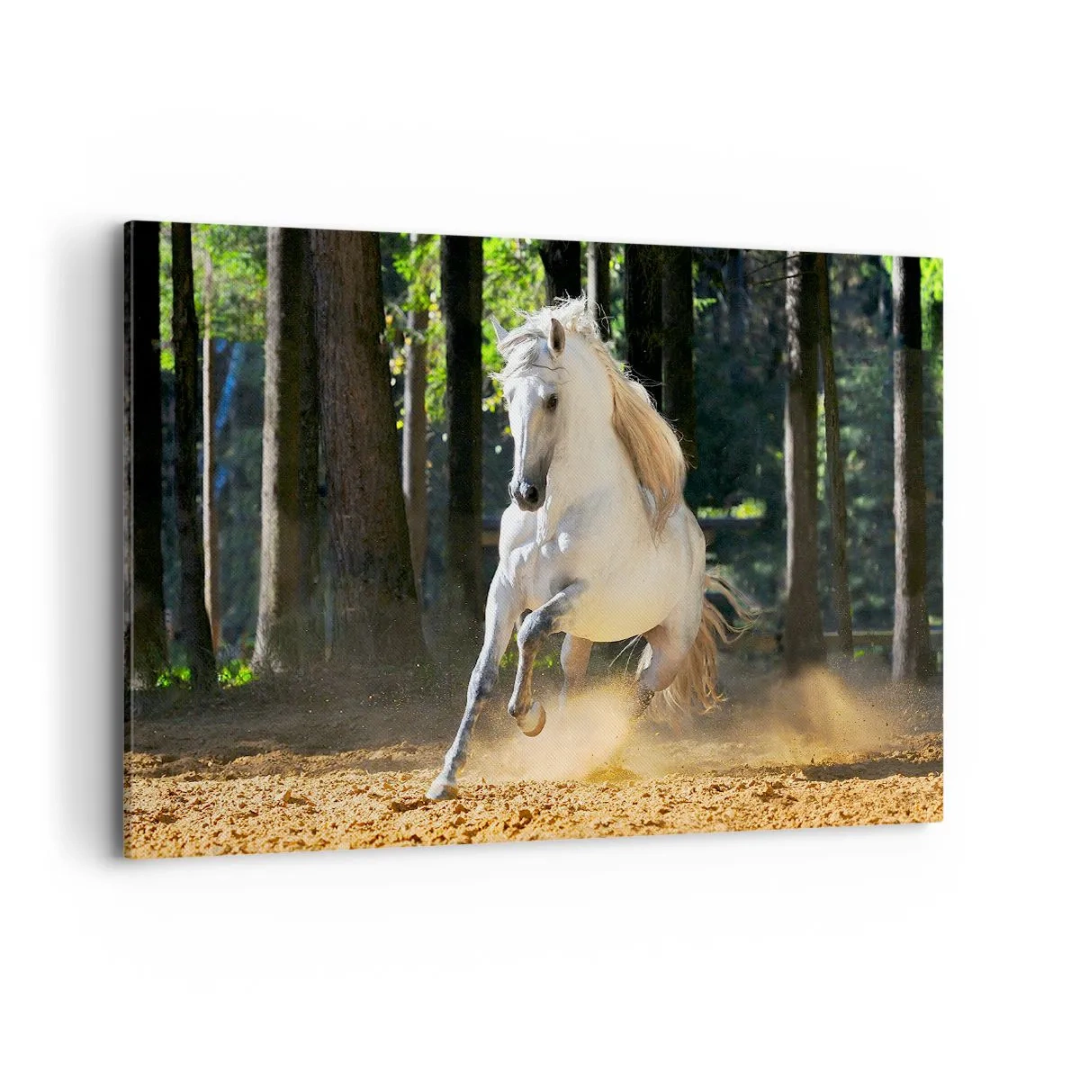 Obraz na plátně - Jako z fantasy románu - 120x80 cm