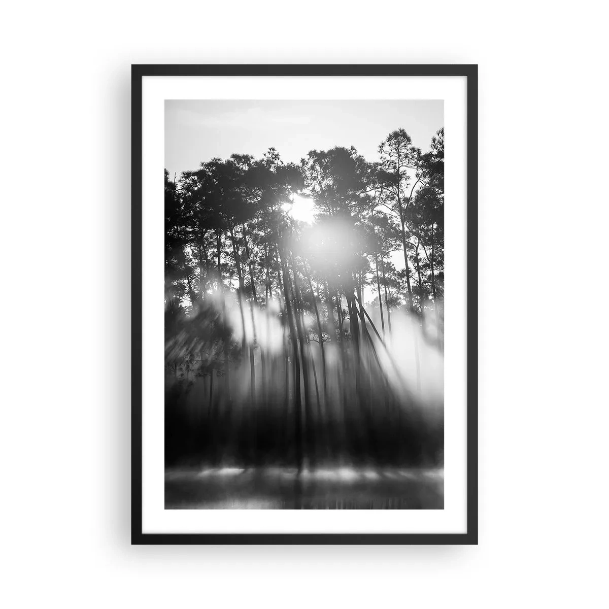 Plakát v černém rámu - Černobílá lesní scéna se slunečními paprsky v mlze - 50x70cm - Nezastavitelné slunce - Moderní nástěnná dekorace do obývacího pokoje a ložnice ARTTOR