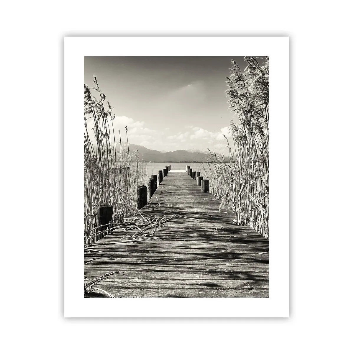 Plakát - V ústraní travin - 40x50 cm