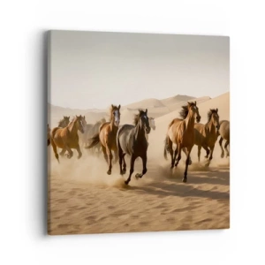 Obraz na plátně - Volné jako vítr - 40x40 cm