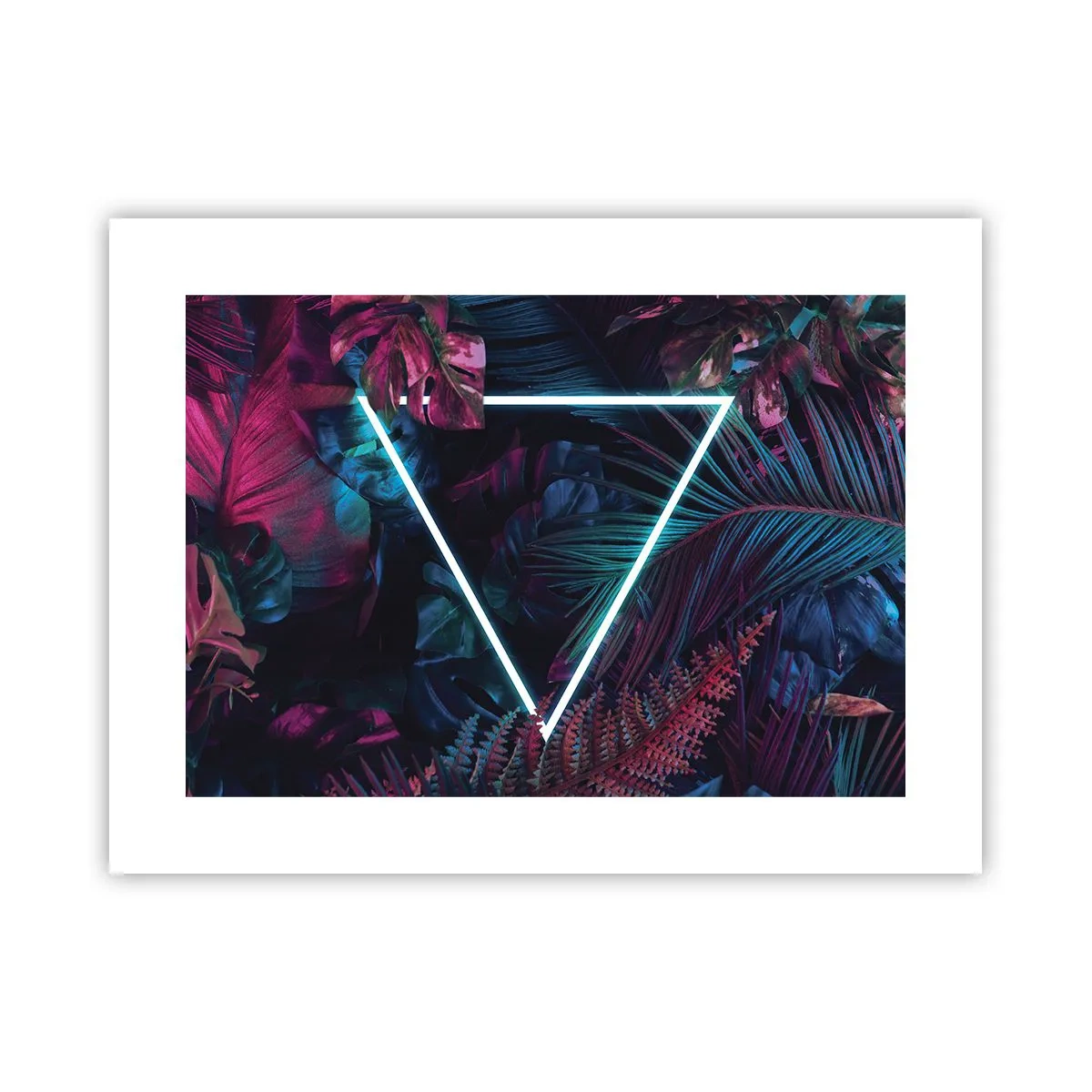 Plakát - Zahrada v disco stylu - 40x30 cm