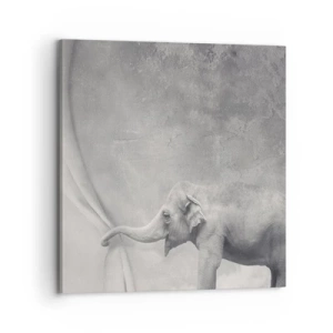 Obraz na plátně - Odhalit tajemství - 70x70 cm