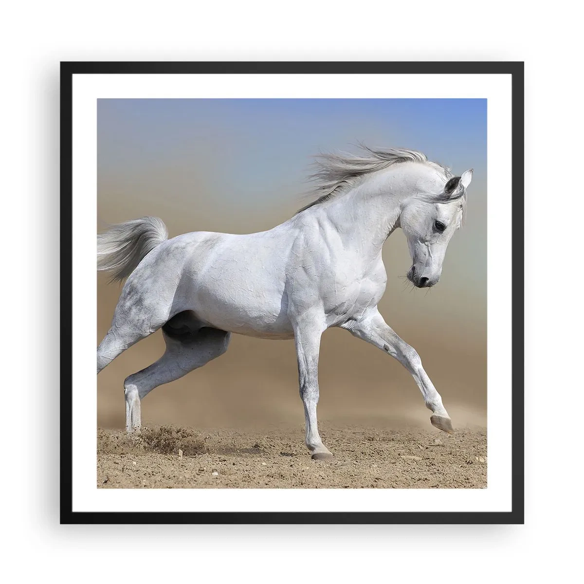Plakát v černém rámu - Nejkrásnější arabská pohádka - 60x60 cm
