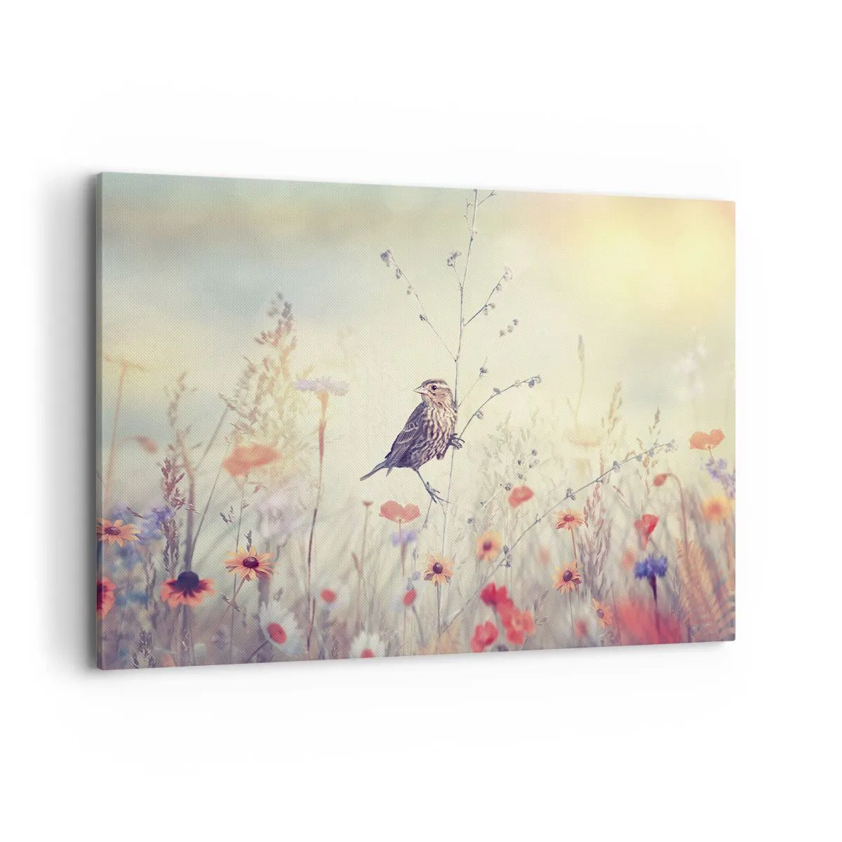 Obraz na plátně - Portrét ptáka s loukou v pozadí - 100x70 cm