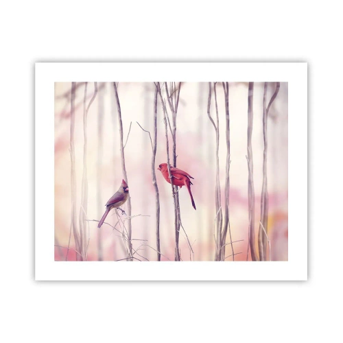 Plakát - Příběh růžového lesa - 50x40 cm