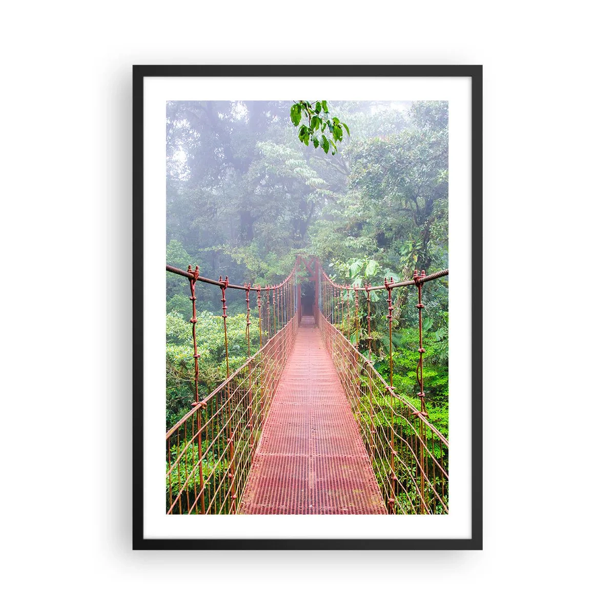 Plakát v černém rámu - Visutý most v tropickém lese zahalený v mlze - 50x70cm - Zavěšený nad korunami - Moderní nástěnná dekorace do obývacího pokoje a ložnice ARTTOR