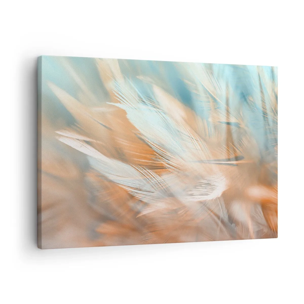 Obraz na plátně - Jemné peří v pastelových odstínech modré a oranžové - 70x50cm - V krajině něhy - Moderní nástěnná dekorace do obývacího pokoje a ložnice ARTTOR