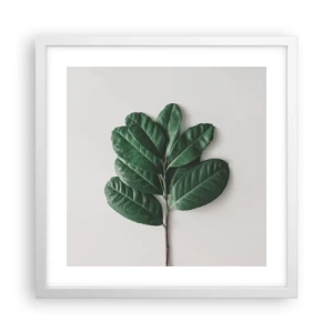 Plakát v bílém rámu - Kresba samotné přírody - 40x40 cm