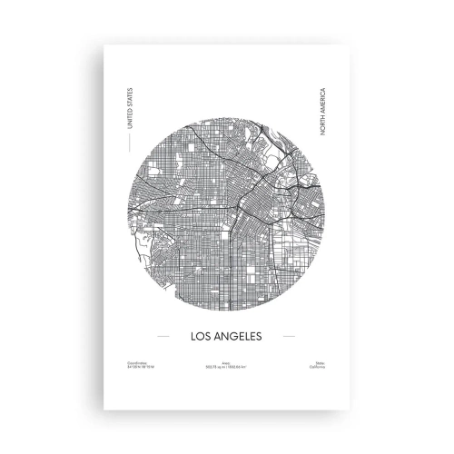 Plakát - Anatomie Los Angeles - 61x91 cm