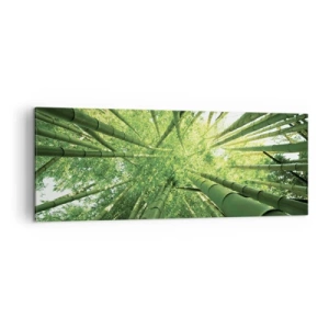 Obraz na plátně - V bambusovém háji - 140x50 cm