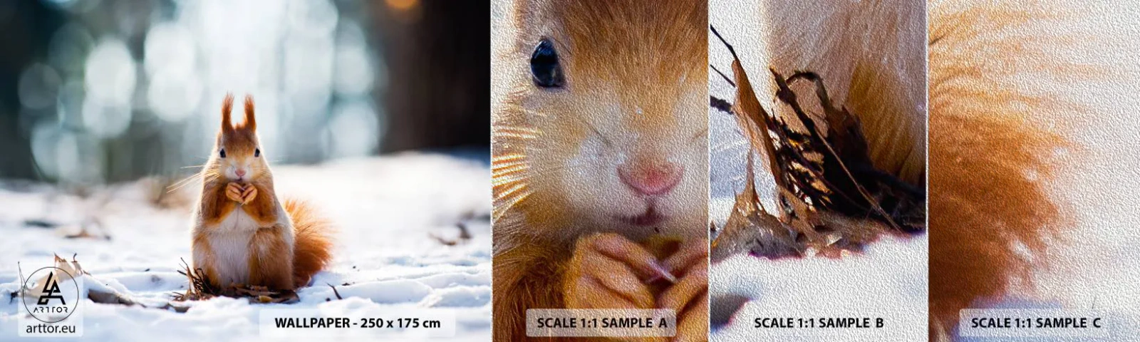 Vzor Fototapety Premium Sand - Co se tak díváš? - Zvířata, Veverka, Zima - 100x30 cm