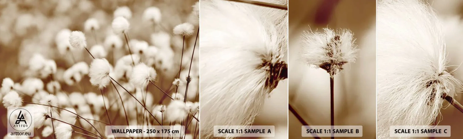 Vzor Fototapety Samolepicí Deluxe Sticker - Chlupatý lán - Bavlněný květ, Květ, Bavlněná větvička - 100x30 cm