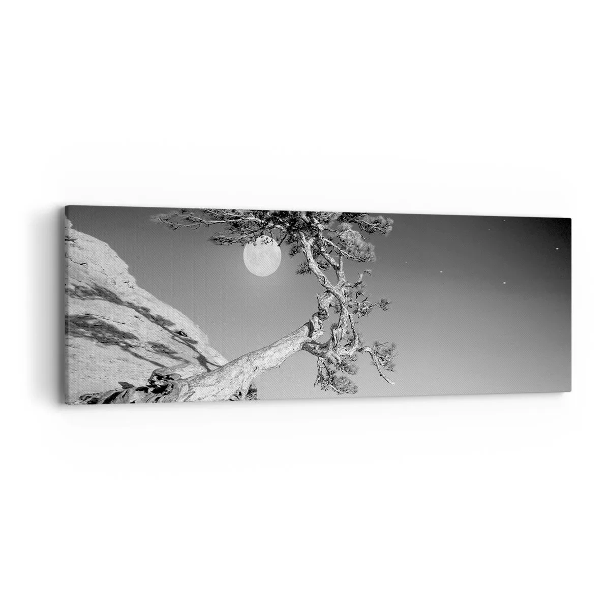 Obraz na plátně - Vítězná válečnice - 90x30 cm