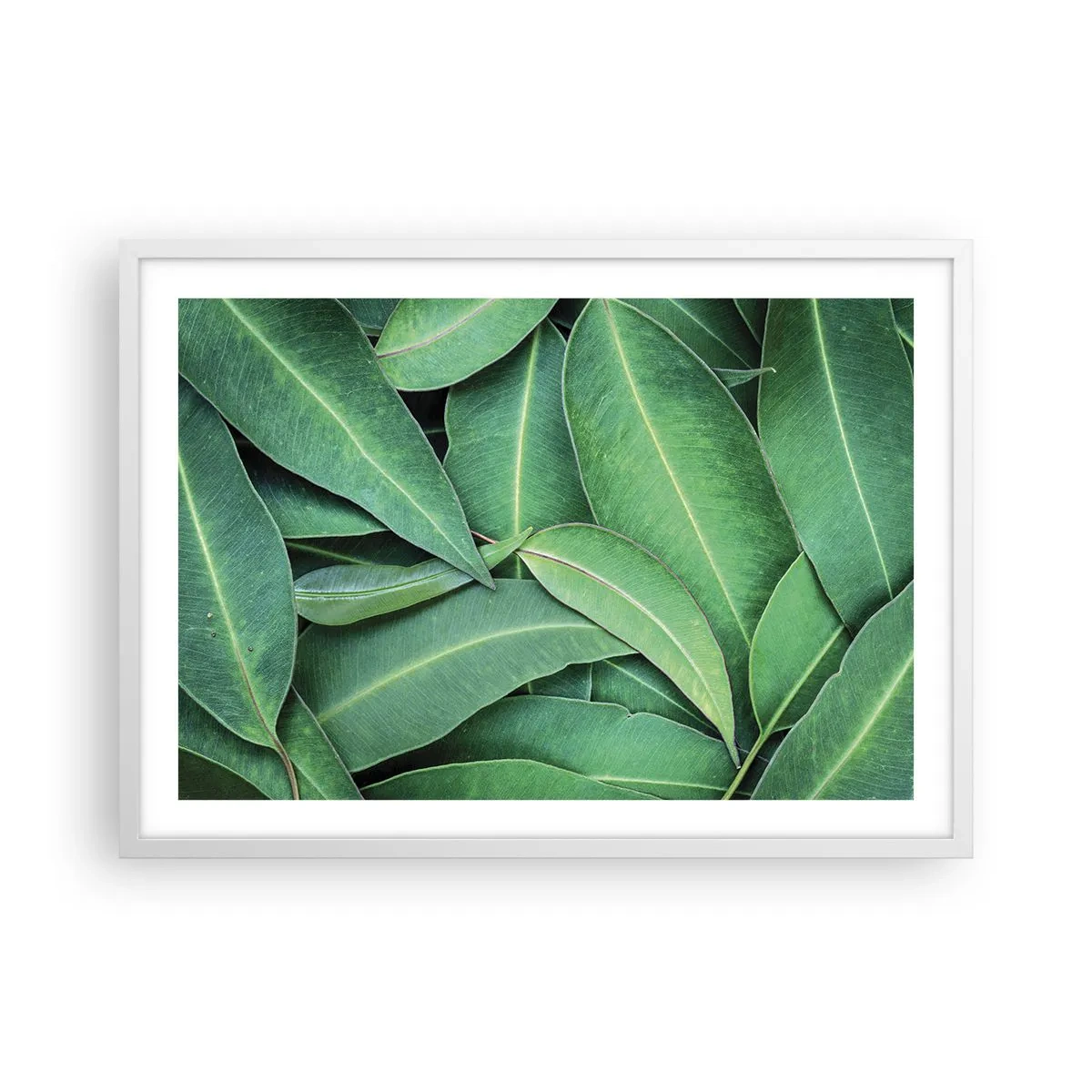 Plakát v bílém rámu - Šťavnaté a svěží - 70x50 cm