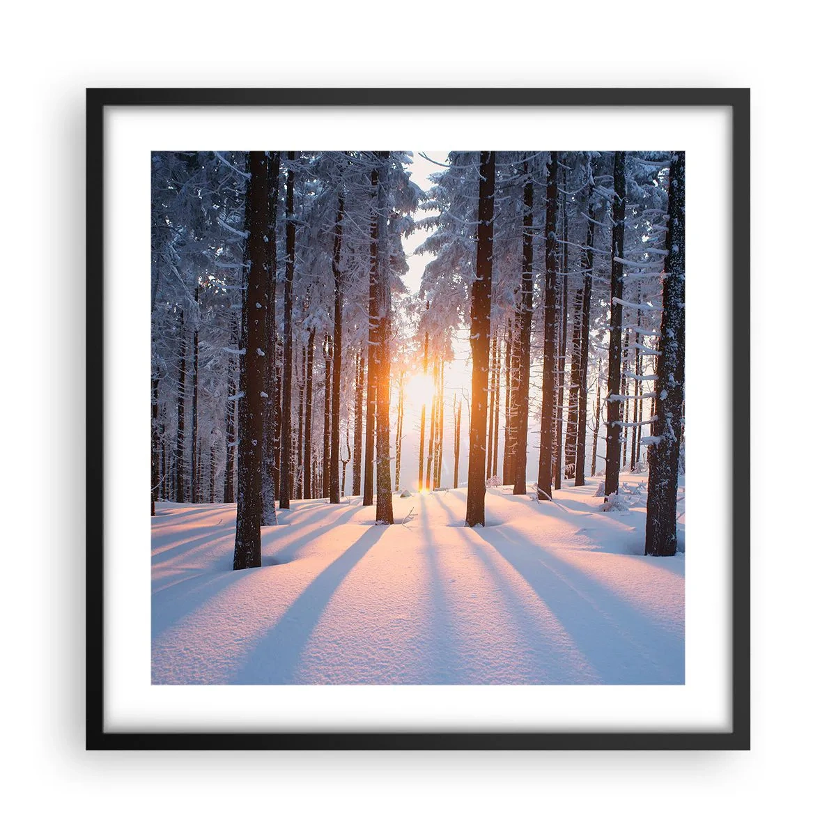 Plakát v černém rámu - Jasně černé na bílém - 50x50 cm