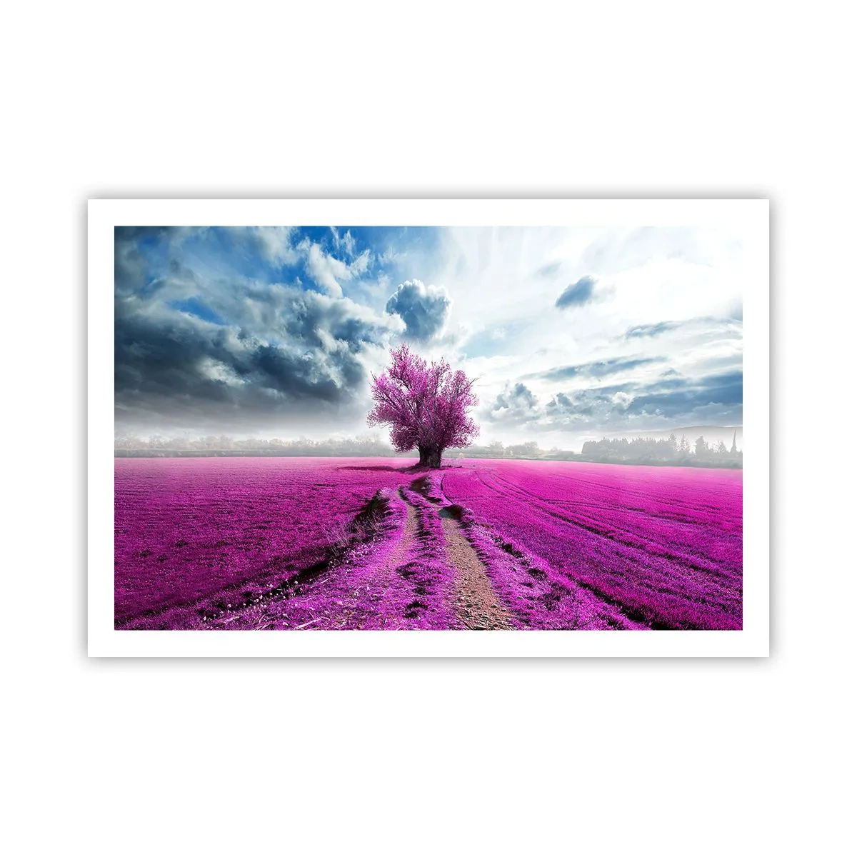 Plakát - Vřesoviště - divočina - 91x61 cm