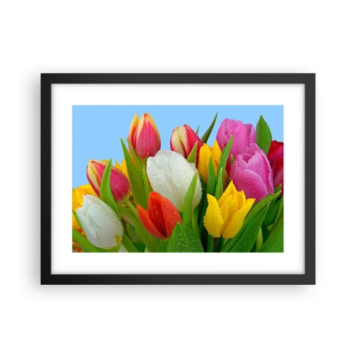 Plakát v černém rámu - Květinová duha v kapkách rosy - 40x30 cm
