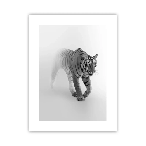 Plakát - Přikrčený v mlze - 30x40 cm