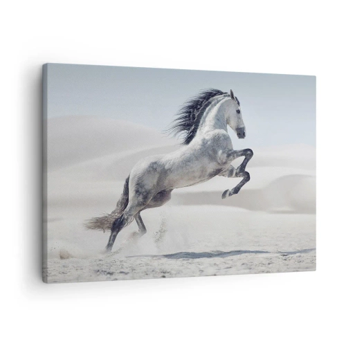 Obraz na plátně - Bílý kůň cválající na pozadí pouštních dun - 70x50cm - Arabský kníže - Moderní nástěnná dekorace do obývacího pokoje a ložnice ARTTOR