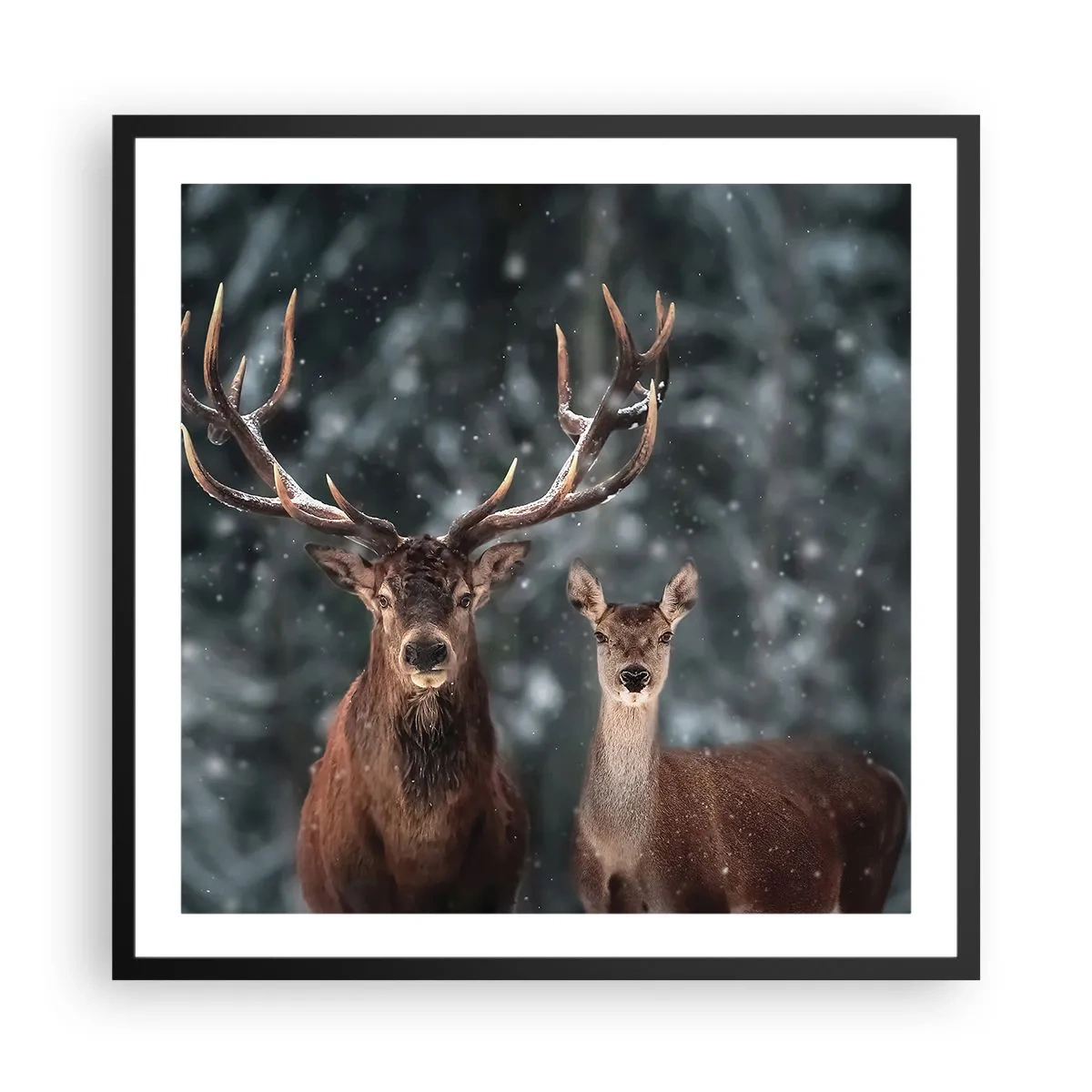 Plakát v černém rámu - Pán lesa se svou ženou - 60x60 cm