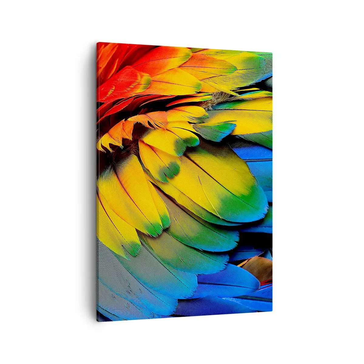 Obraz na plátně - Nebeský pták - 50x70 cm