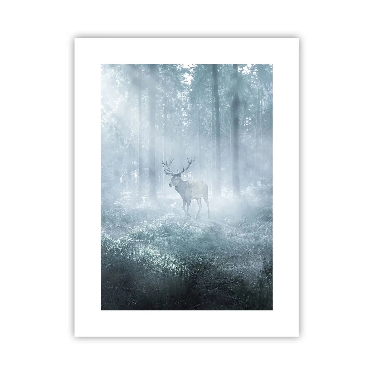 Plakát - Ranní obchůzka sídliště - 30x40 cm