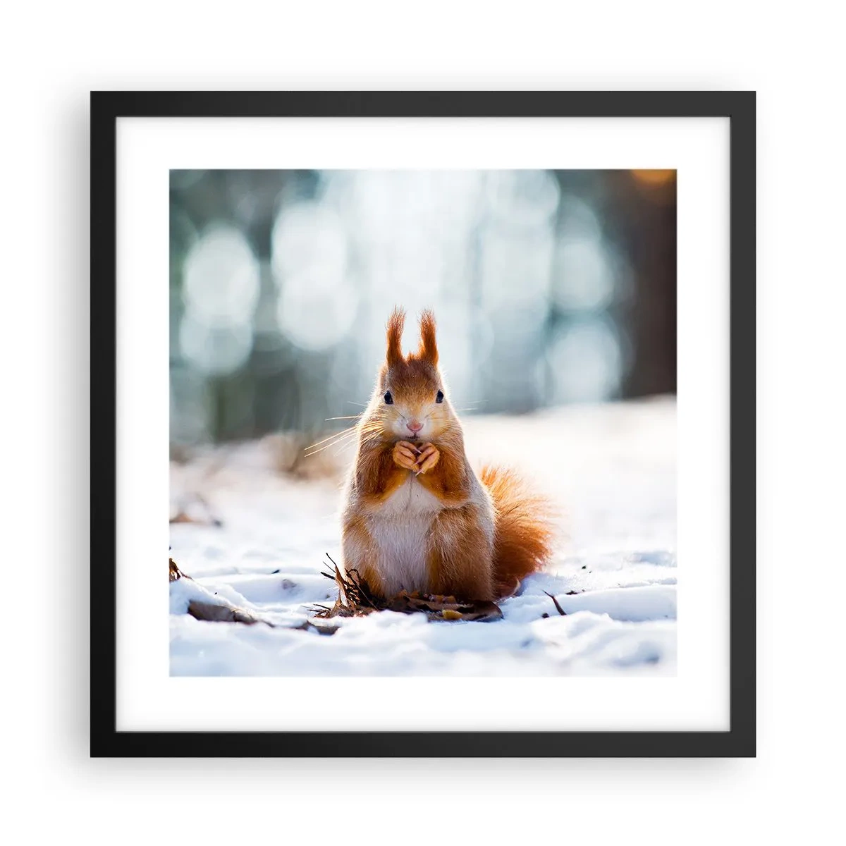 Plakát v černém rámu - Co se tak díváš? - 40x40 cm