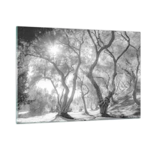 Obraz na skle - V olivovém háji - 120x80 cm