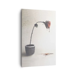 Obraz na plátně - Rosa dolorosa - 80x120 cm