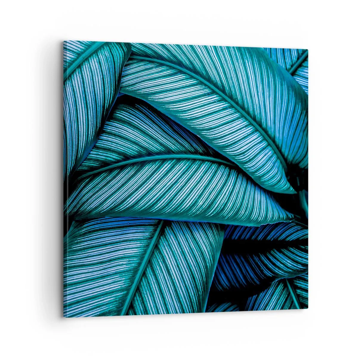 Obraz na plátně - Čáry života - 60x60 cm