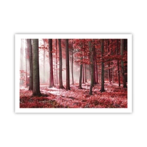 Plakát - Červená je stejně krásná - 91x61 cm
