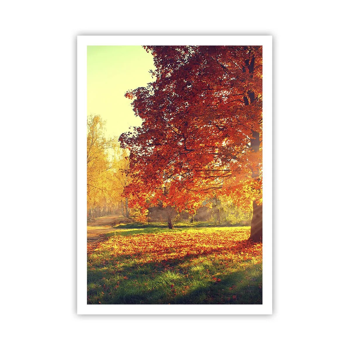 Plakát - Rudé je krásné - 70x100 cm