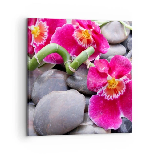 Obraz na plátně - Chlad a žár - 70x70 cm