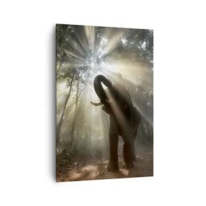 Obraz na plátně - Pod šťastnou hvězdou - 70x100 cm