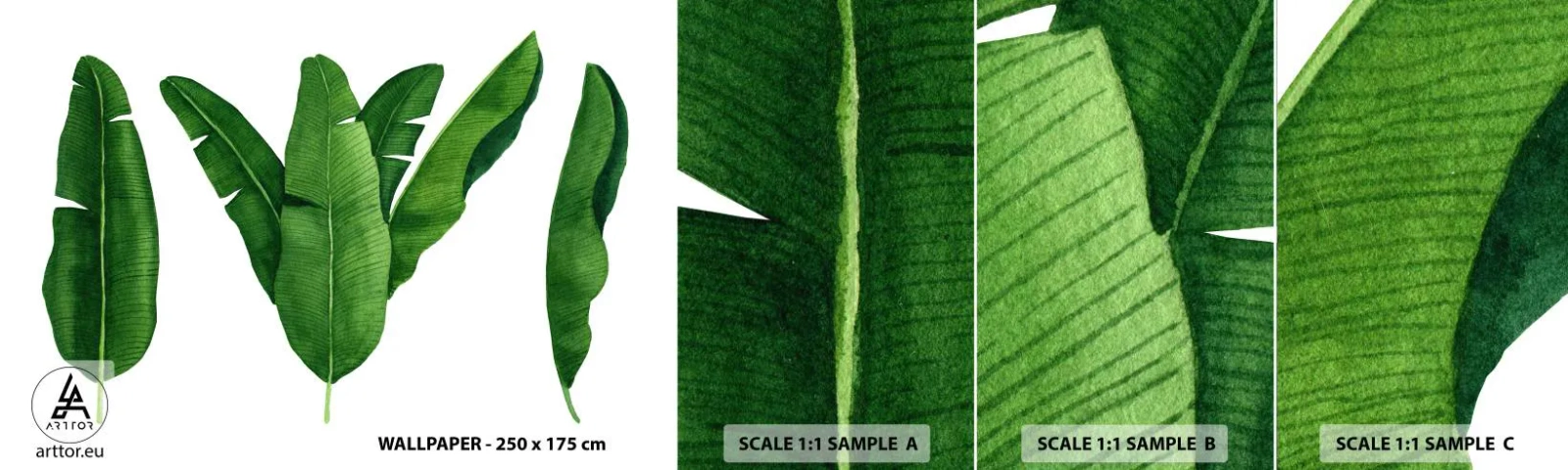 Fototapeta Vzorek Standard Eco - Zelená symetrie - Banánový list, Tropický, Botanický styl - 100x30 cm