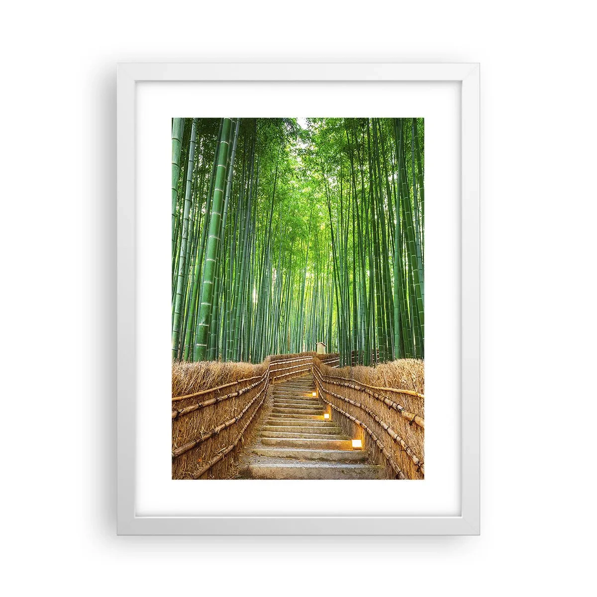 Plakát v bílém rámu - Esence asijské přírody - 30x40 cm