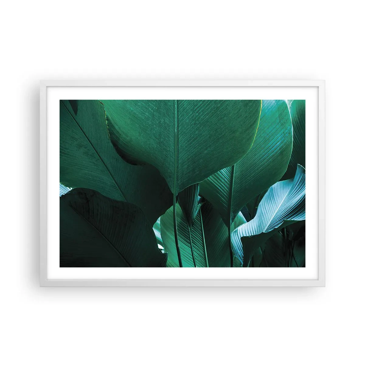 Plakát v bílém rámu - Obrácené ke světlu - 70x50 cm