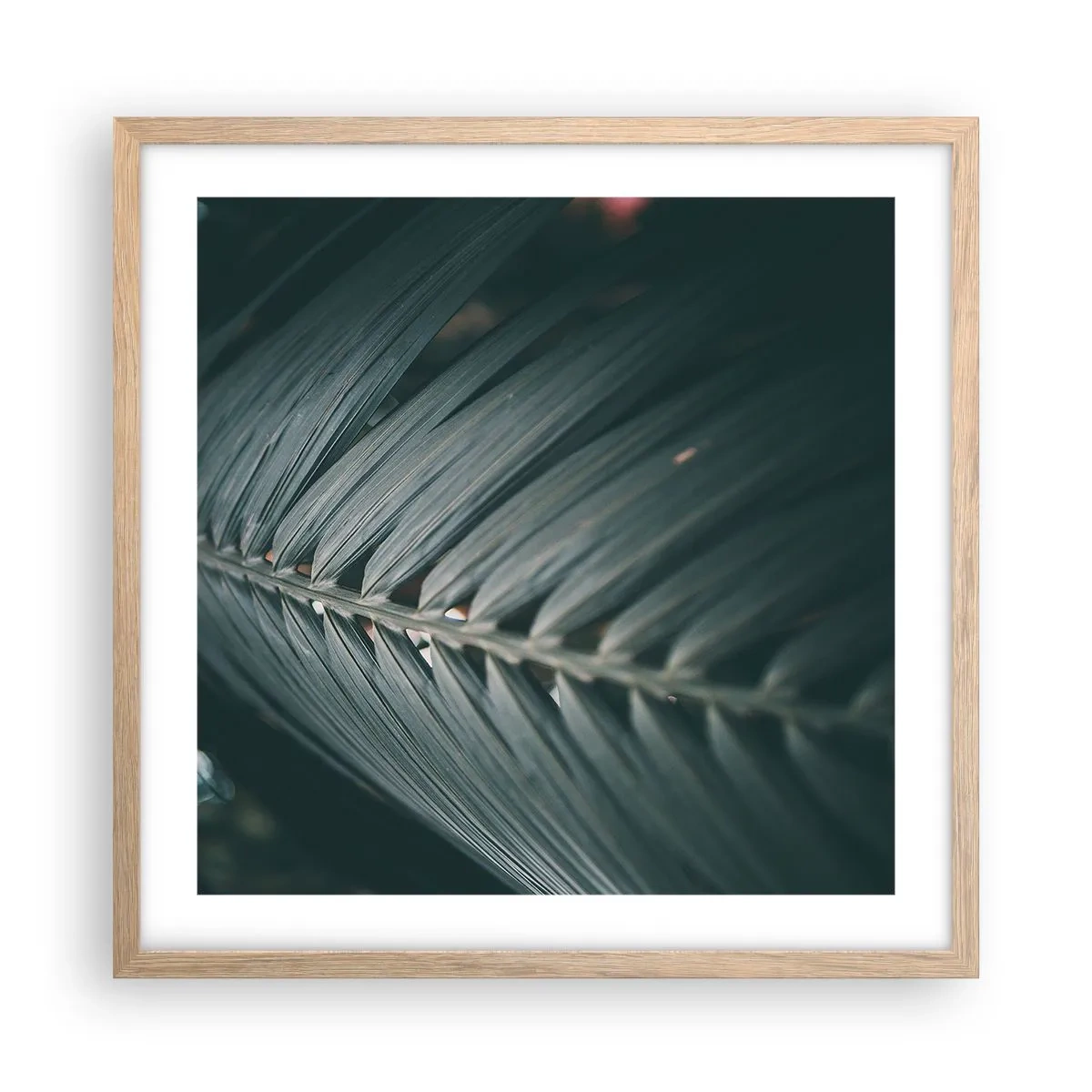 Plakát v rámu světlý dub - Přesnost přírody - 50x50 cm