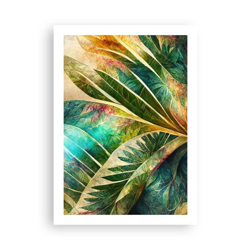 Plakát - Barvy tropů - 50x70 cm