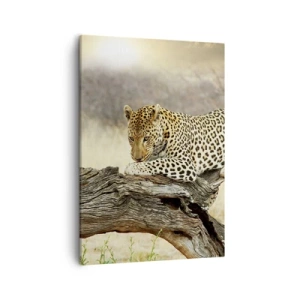 Obraz na plátně - Chodím vlastními cestami - 50x70 cm