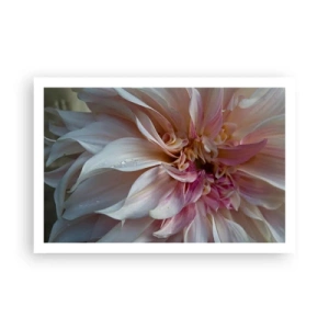 Plakát - Kvetoucí svěžest - 91x61 cm