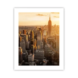 Plakát - Růst na slunci - 40x50 cm