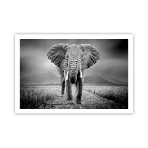 Plakát - Hostitel vítá - 91x61 cm