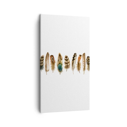 Obraz na plátně - Opeřená variace - 45x80 cm