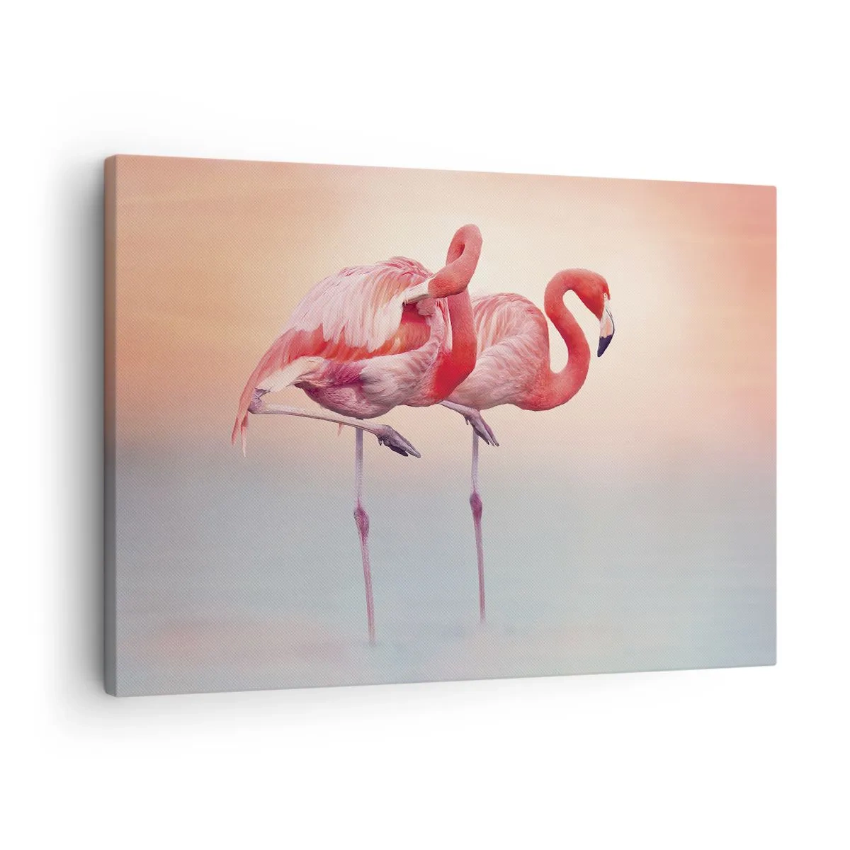 Obraz na plátně - V barvě zapadajícího slunce - 70x50 cm